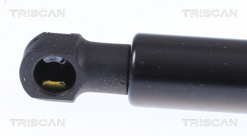 TRISCAN Gasfeder, Koffer-/Laderaum