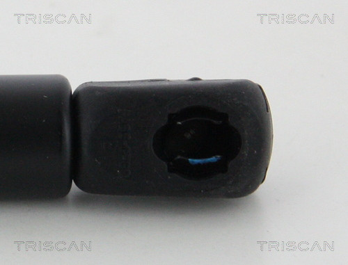 TRISCAN Gasfeder, Motorhaube