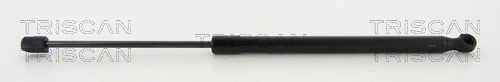 TRISCAN Gasfeder, Koffer-/Laderaum