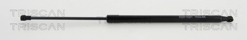 TRISCAN Gasfeder, Koffer-/Laderaum