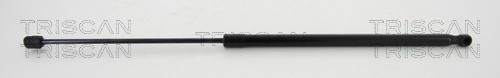 TRISCAN Gasfeder, Koffer-/Laderaum