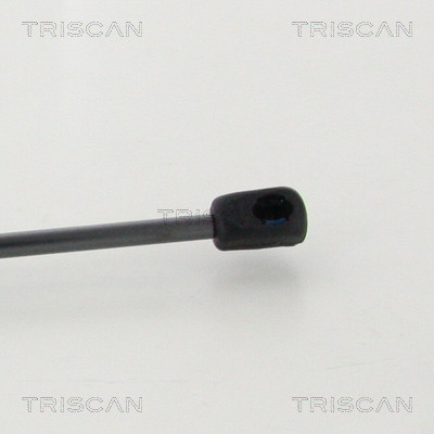 TRISCAN Gasfeder, Koffer-/Laderaum