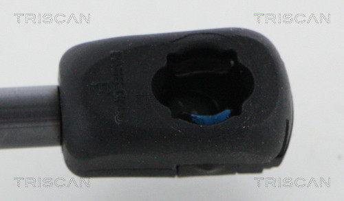 TRISCAN Gasfeder, Koffer-/Laderaum