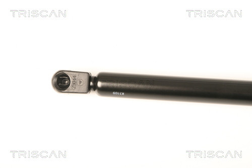 TRISCAN Gasfeder, Koffer-/Laderaum