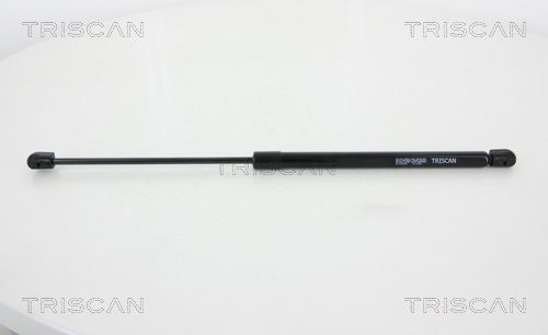 TRISCAN Gasfeder, Koffer-/Laderaum