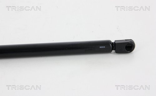 TRISCAN Gasfeder, Koffer-/Laderaum