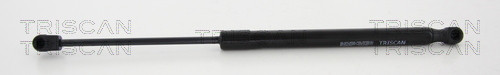 TRISCAN Gasfeder, Koffer-/Laderaum