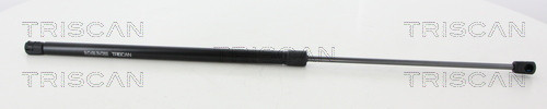 TRISCAN Gasfeder, Koffer-/Laderaum