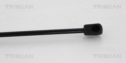 TRISCAN Gasfeder, Koffer-/Laderaum