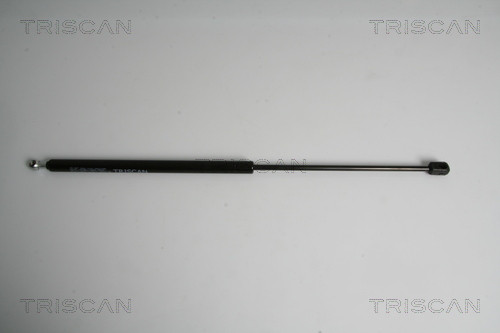 TRISCAN Gasfeder, Koffer-/Laderaum