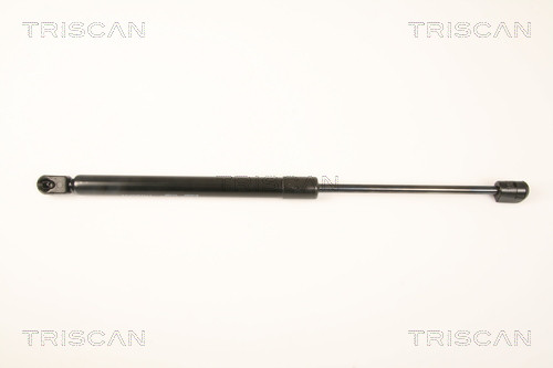 TRISCAN Gasfeder, Koffer-/Laderaum