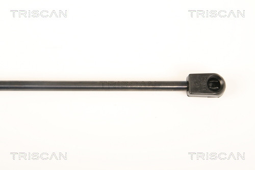 TRISCAN Gasfeder, Koffer-/Laderaum