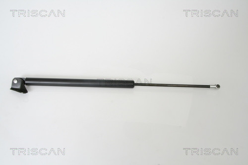 TRISCAN Gasfeder, Koffer-/Laderaum