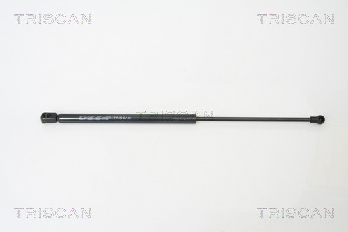 TRISCAN Gasfeder, Koffer-/Laderaum