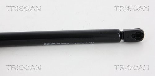 TRISCAN Gasfeder, Koffer-/Laderaum