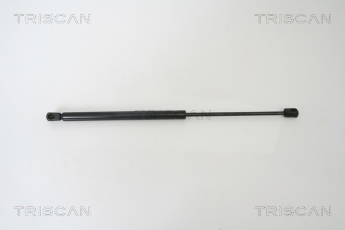 TRISCAN Gasfeder, Koffer-/Laderaum