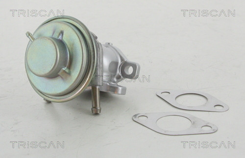 TRISCAN AGR-Ventil