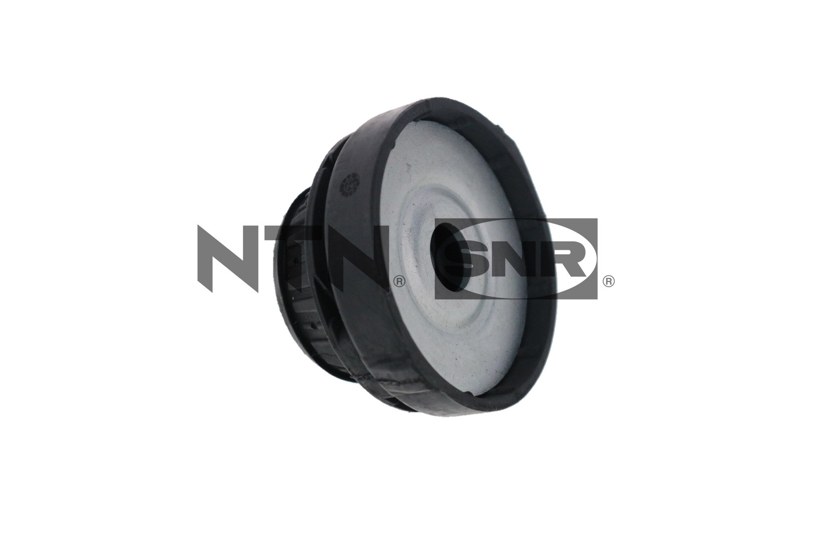 SNR Reparatursatz, Federbeinstützlager