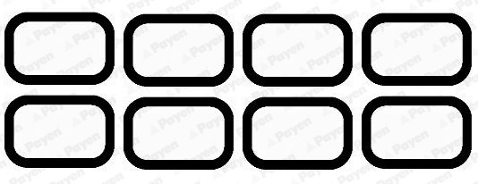 PAYEN Dichtungssatz, Ansaugkrümmer