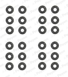 PAYEN Dichtungssatz, Ventilschaft