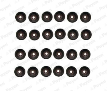 PAYEN Dichtungssatz, Ventilschaft