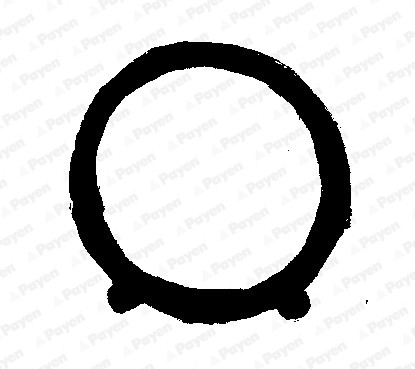 PAYEN Dichtung, Ansaugkrümmer