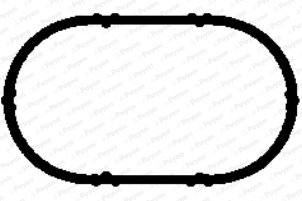 PAYEN Dichtung, Ansaugkrümmergehäuse