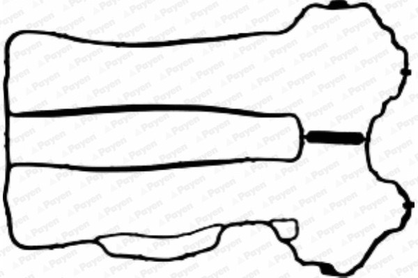 PAYEN Dichtung, Zylinderkopfhaube