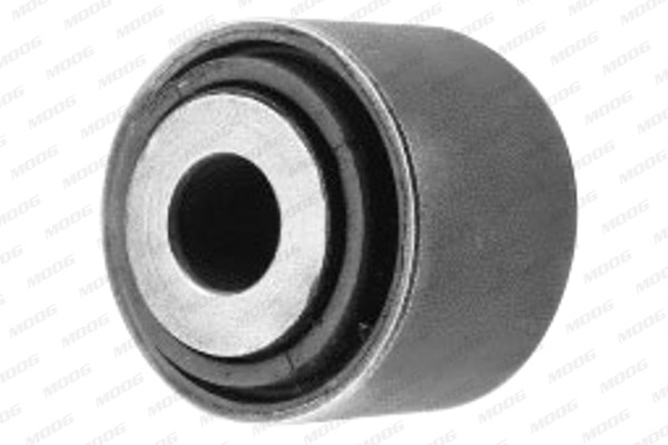 MOOG Lagerung, Lenker