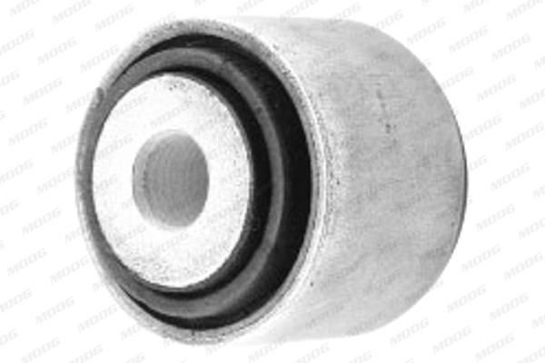 MOOG Lagerung, Lenker