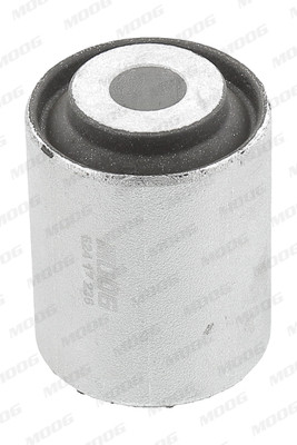 MOOG Lagerung, Lenker