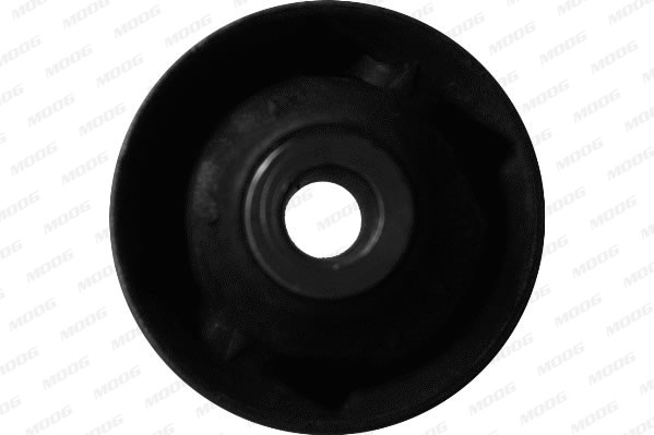 MOOG Lagerung, Lenker