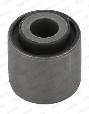 MOOG Lagerung, Lenker