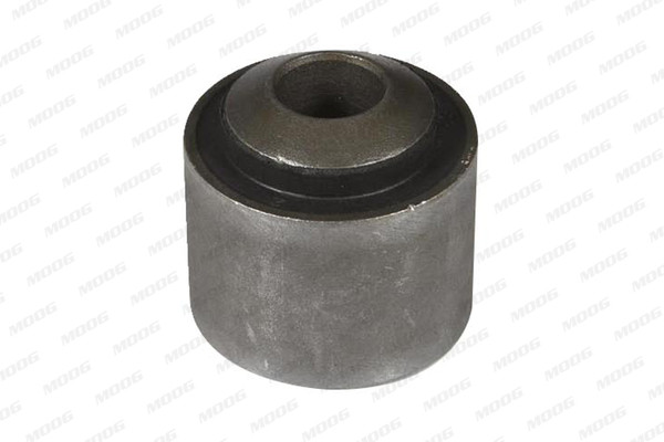 MOOG Lagerung, Lenker