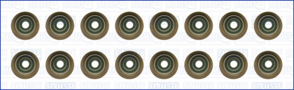 AJUSA Dichtungssatz, Ventilschaft