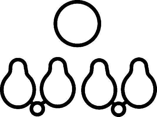 CORTECO Dichtung, Ansaugkrümmer