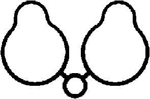 CORTECO Dichtung, Ansaugkrümmer