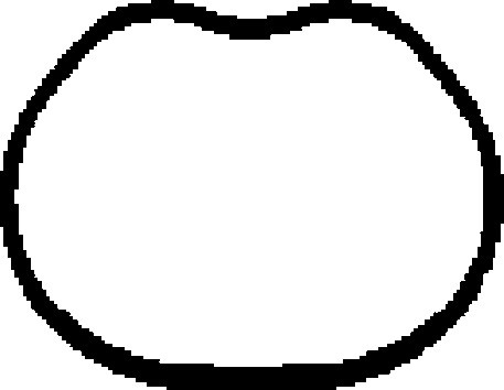 CORTECO Dichtung, Ansaugkrümmer