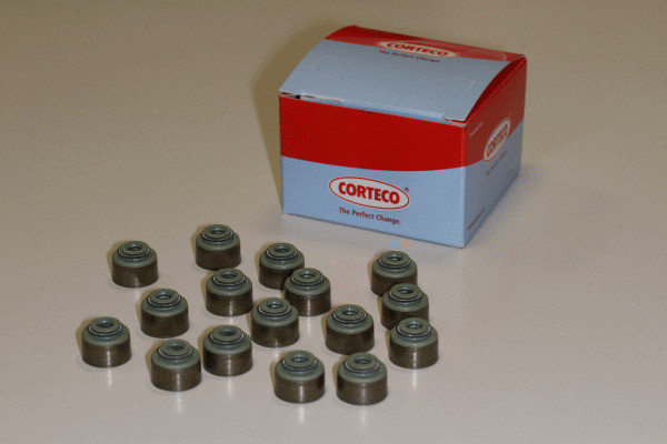 CORTECO Dichtungssatz, Ventilschaft