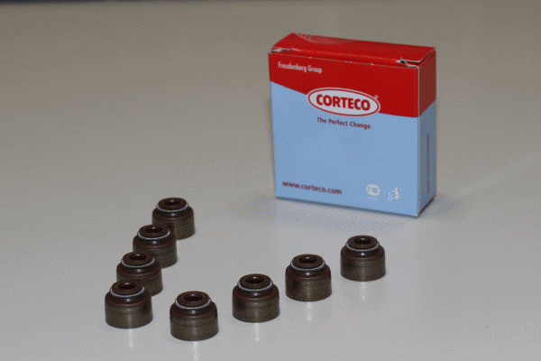 CORTECO Dichtungssatz, Ventilschaft