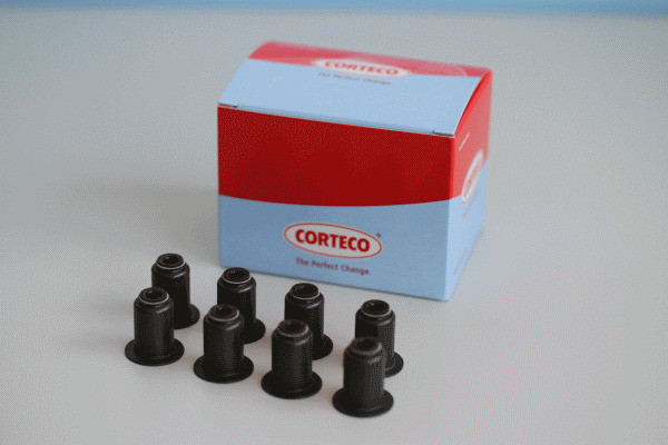 CORTECO Dichtungssatz, Ventilschaft