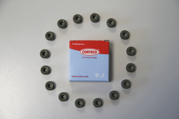 CORTECO Dichtungssatz, Ventilschaft