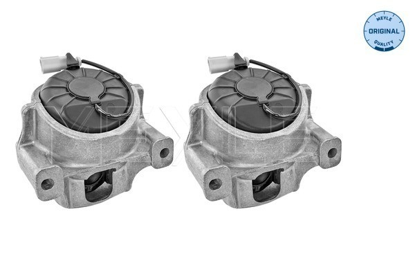 MEYLE Lagerung, Motor