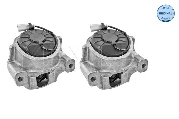 MEYLE Lagerung, Motor