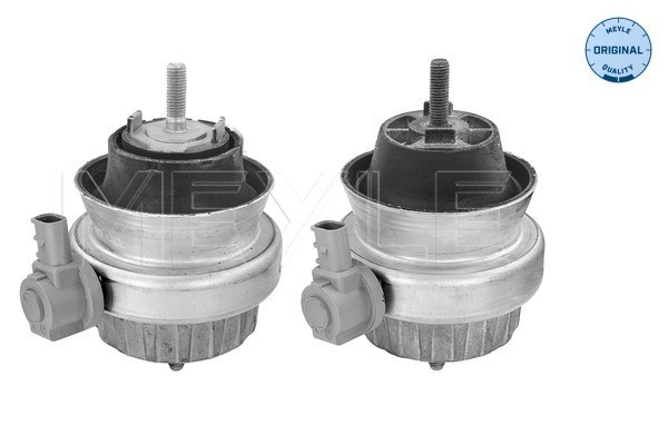 MEYLE Lagerung, Motor