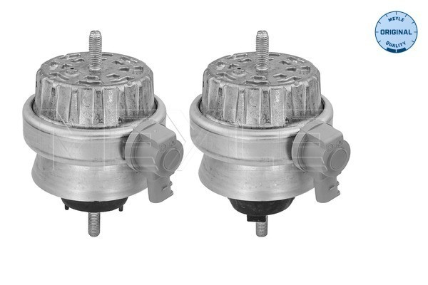 MEYLE Lagerung, Motor