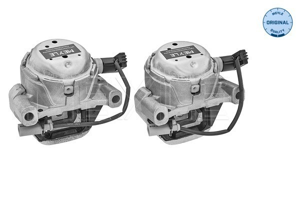 MEYLE Lagerung, Motor