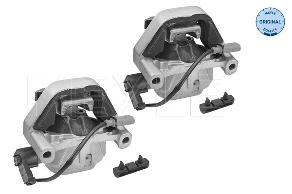 MEYLE Lagerung, Motor