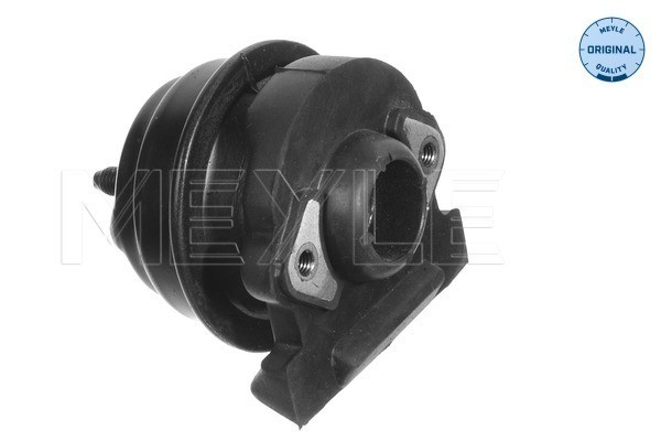 MEYLE Lagerung, Motor