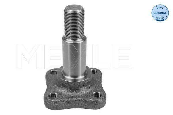 MEYLE Achsschenkel, Radaufhängung